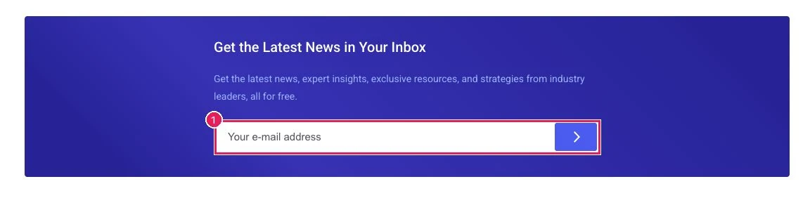 The newsletter box with one visible email field marked